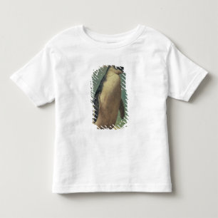 Camiseta De Bebé Estudio de un pingüino
