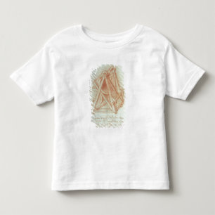 Camiseta De Bebé Estudio del marco de madera con el bastidor