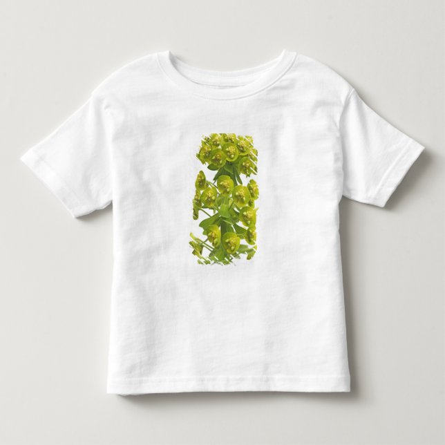 Camiseta De Bebé Euforbio (Anverso)