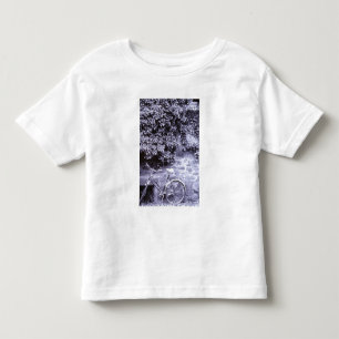 Camiseta De Bebé Europa, Alemania, Baden, Wurttemberg, Heidelberg. 