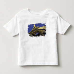 Camiseta De Bebé Europa, Francia, París, Torre Eiffel, noche 2