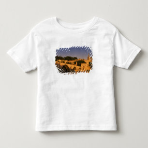 Camiseta De Bebé Europa, Francia, Provenza, Aviñón. Palacio de los 
