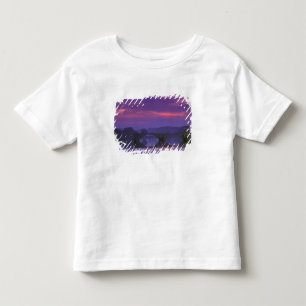 Camiseta De Bebé Europa, Francia, Provenza, Aviñón. Pont St,