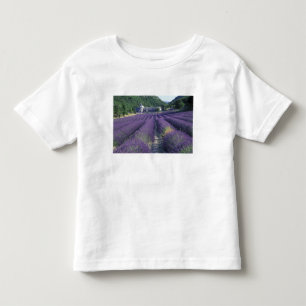 Camiseta De Bebé Europa, Francia, Provenza. Campos de lavanda