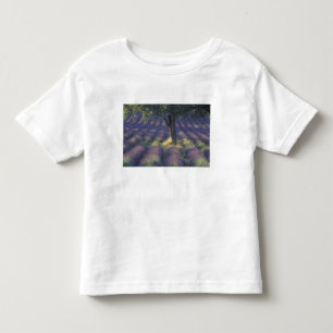 Camiseta De Bebé Europa, Francia, Provenza, Sault, Lavanda