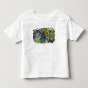 Camiseta De Bebé Europa, Francia, Rosellón. Viñedos, con