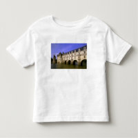 Europa, Francia, Valle del Loira. Castillo