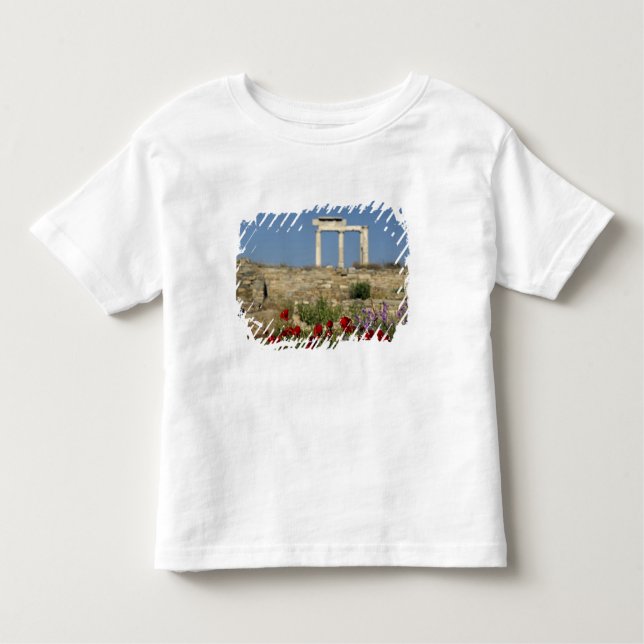 Camiseta De Bebé Europa, Grecia, Cícladas, Delos. Ruinas de columna (Anverso)