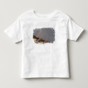Camiseta De Bebé Europa, Grecia, Mykonos. molino de viento con arco