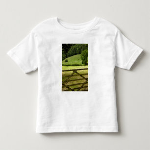 Camiseta De Bebé Europa, Inglaterra, Distrito de los Lagos, Cumbria