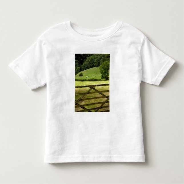 Camiseta De Bebé Europa, Inglaterra, Lake District, Cumbria, (Anverso)