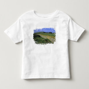 Camiseta De Bebé Europa, Inglaterra, Muralla de Adriano. Las piedra