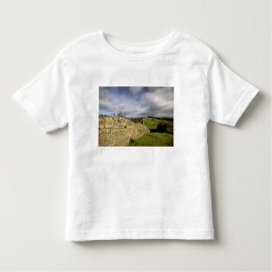Camiseta De Bebé Europa, Inglaterra, Northumberland. De Adrián