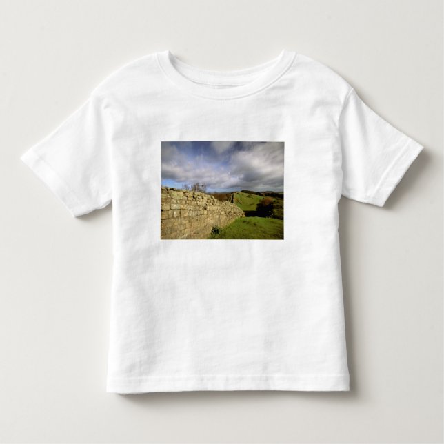 Camiseta De Bebé Europa, Inglaterra, Northumberland. De Adrián (Anverso)