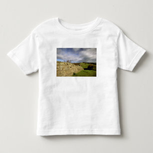 Camiseta De Bebé Europa, Inglaterra, Northumberland. Muro de Adrian