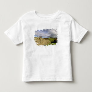 Camiseta De Bebé Europa, Inglaterra, Northumberland. Muro de Adrian