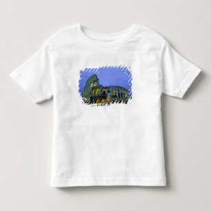 Camiseta De Bebé Europa, Italia, Roma. Vista nocturna del