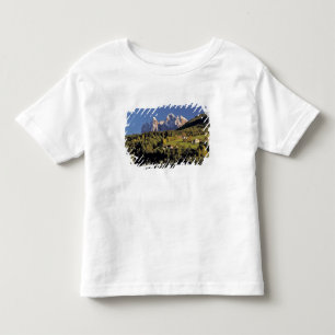 Camiseta De Bebé Europa, Italia, San Pietro. El grupo Odle parecen
