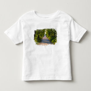 Camiseta De Bebé Europa, Italia, Toscana, camino arbolado