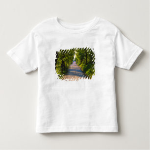 Camiseta De Bebé Europa, Italia, Toscana, carretera arbolada
