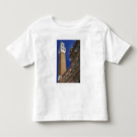 Europa, Italia, Toscana, Siena. Torre del