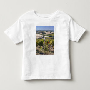 Camiseta De Bebé Europa, Italia, Umbría, cerca de Montefalco, Viñed