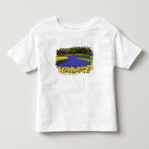 Camiseta De Bebé Europa, Países Bajos, Holanda, Lisse, Keukenhof