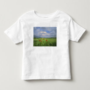 Camiseta De Bebé Europa, Toscana, Poggiolo. Las amapolas rojas se m