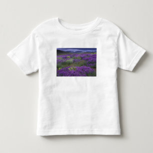 Camiseta De Bebé Europa, Turquía, Capadocia. Paisaje rural 2