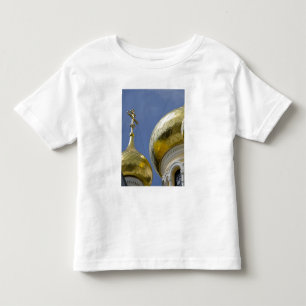 Camiseta De Bebé Exterior de la Catedral de San Alejandro Nevski