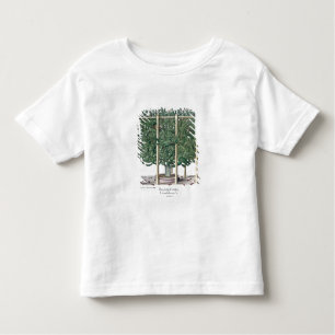 Camiseta De Bebé Eystettensis indica del Ficus, del 'Hortus Eystet