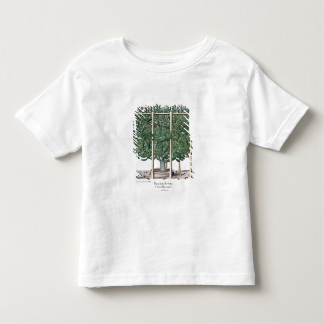 Camiseta De Bebé Eystettensis indica del Ficus, del 'Hortus Eystet (Anverso)