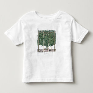 Camiseta De Bebé Eystettensis indica del Ficus, del 'Hortus Eystet