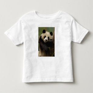 Camiseta De Bebé Familia del panda gigante (Ailuropoda melanoleuca)