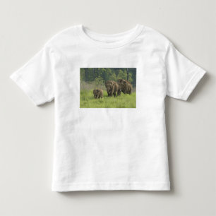 Camiseta De Bebé Familia elefante india