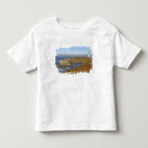 Camiseta De Bebé Faro de Yaquina Head en Newport Oregon
