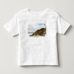 Camiseta De Bebé Faro del punto de Pemaquid en una ladera rocosa