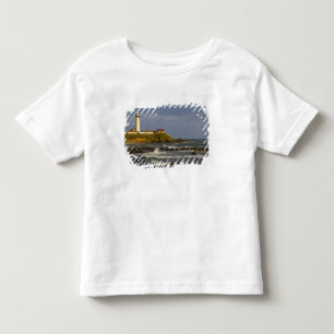 Camiseta De Bebé Faro en Pigeon Point State Beach en San 2