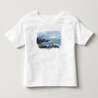 Camiseta De Bebé Faro principal de Portland en la salida del sol