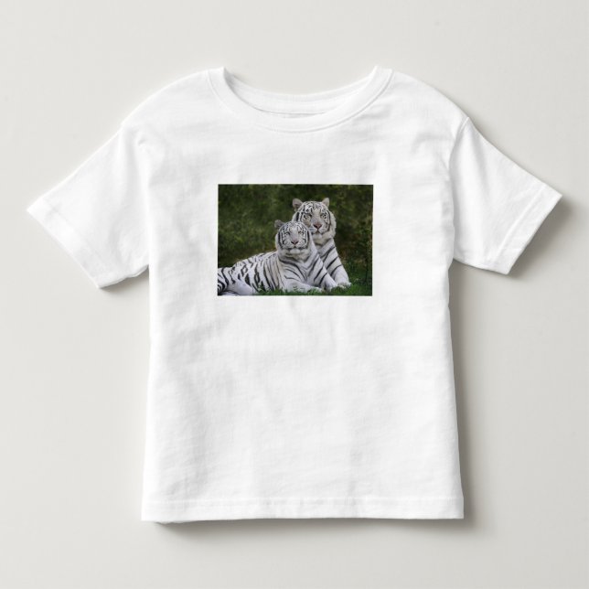 Camiseta De Bebé Fase blanca, Tigre de Bengala, Tigris (Anverso)