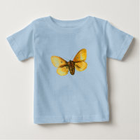 Femenino de Bombyx