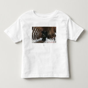 Camiseta De Bebé Ferrocarril de Showsheds