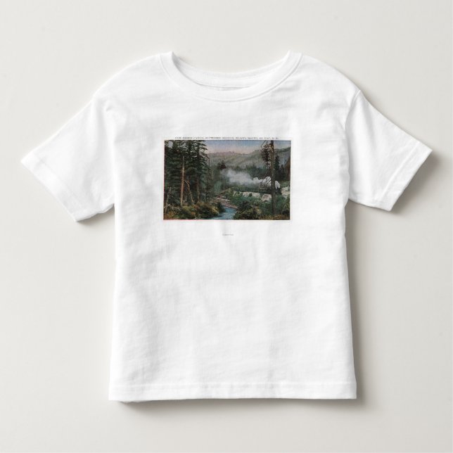 Camiseta De Bebé Ferrocarril pacífico meridional (Anverso)