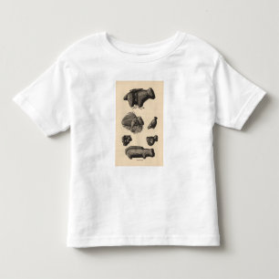 Camiseta De Bebé Fetiches de Zuni