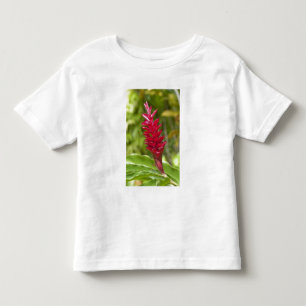 Camiseta De Bebé Fiyi, isla de Viti Levu. Flor.