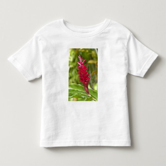 Camiseta De Bebé Fiyi, isla de Viti Levu. Flor. (Anverso)