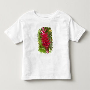 Camiseta De Bebé Fiyi, isla de Viti Levu. Flor.