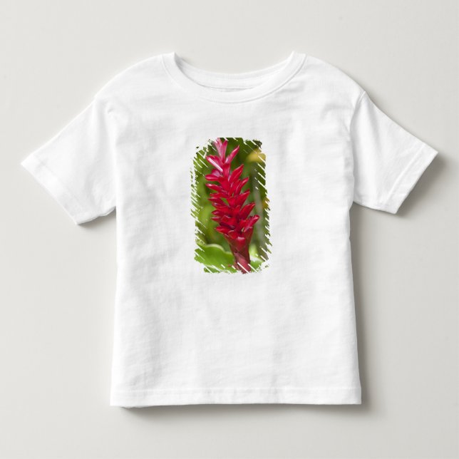 Camiseta De Bebé Fiyi, isla de Viti Levu. Flor. (Anverso)