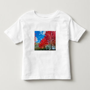 Camiseta De Bebé Flagrantes hojas de árboles rojos en otoño