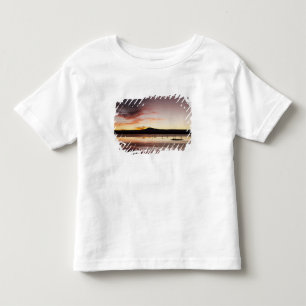 Camiseta De Bebé Flamenco Chileno